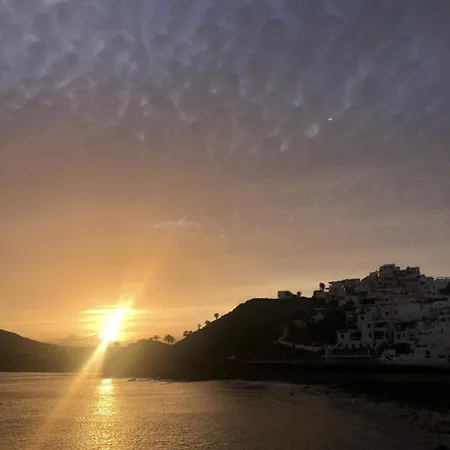 Lagarto Playas Majoreras Las Playas