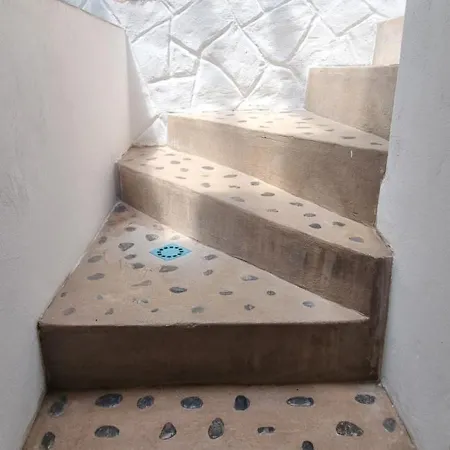 Lagarto Playas Majoreras * Las Playas