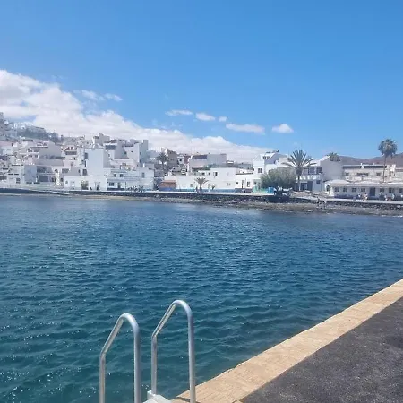 Lagarto Playas Majoreras Las Playas