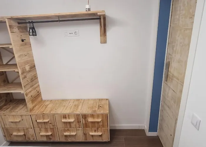 Lagarto Playas Majoreras