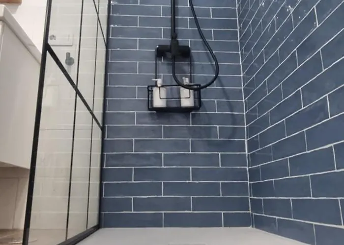 Lagarto Playas Majoreras *