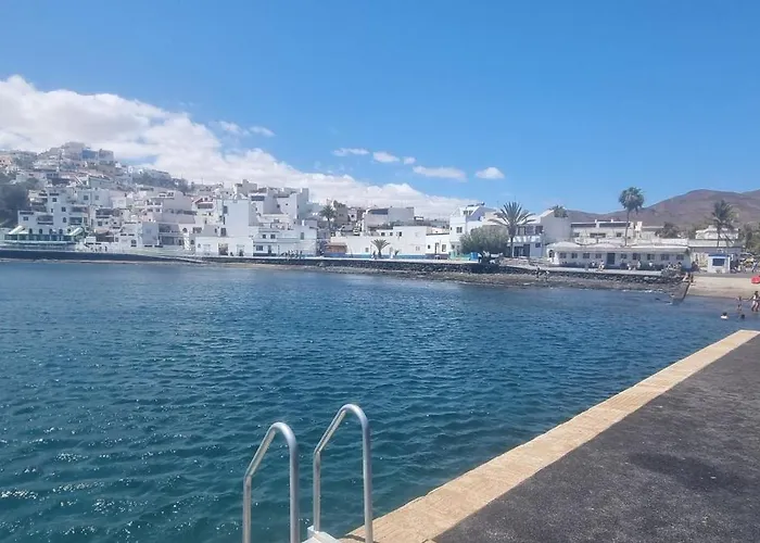 Lagarto Playas Majoreras Las Playas