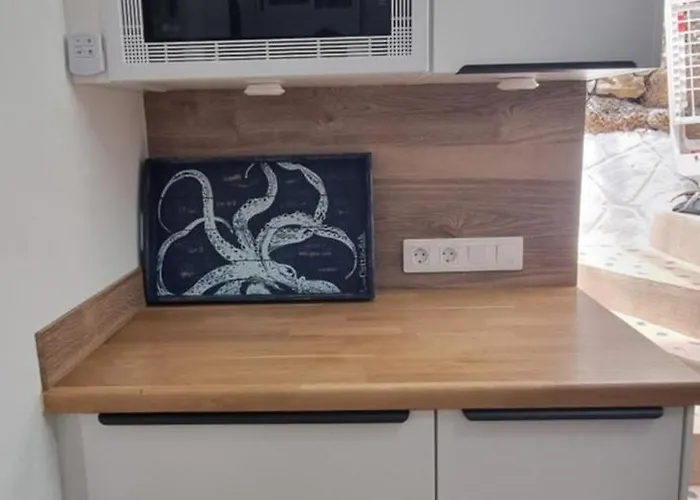 Lagarto Playas Majoreras *