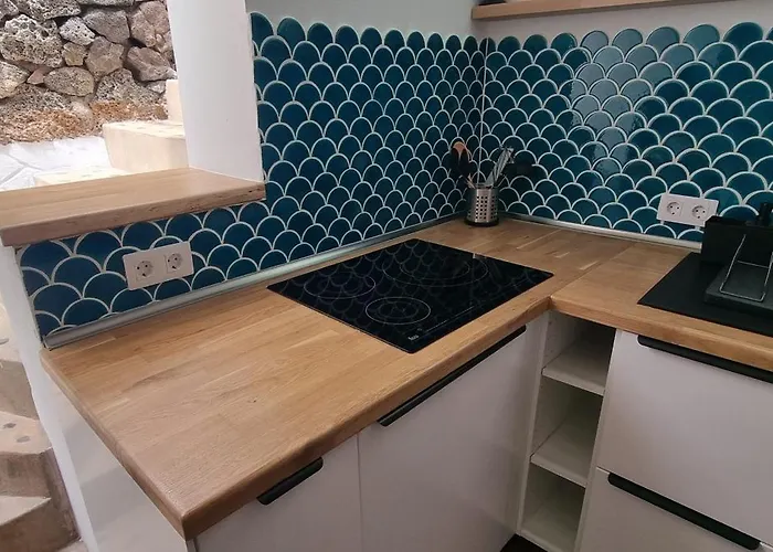 Lagarto Playas Majoreras *