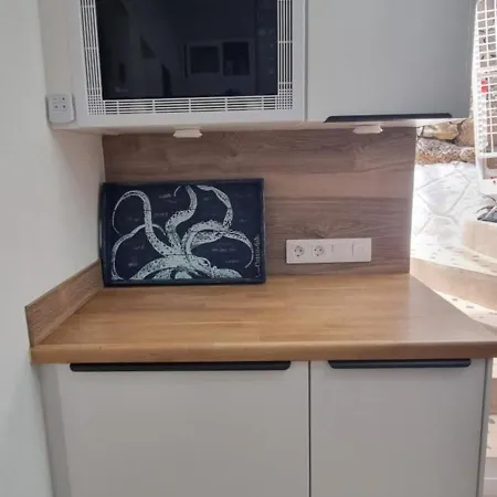 Lagarto Playas Majoreras *