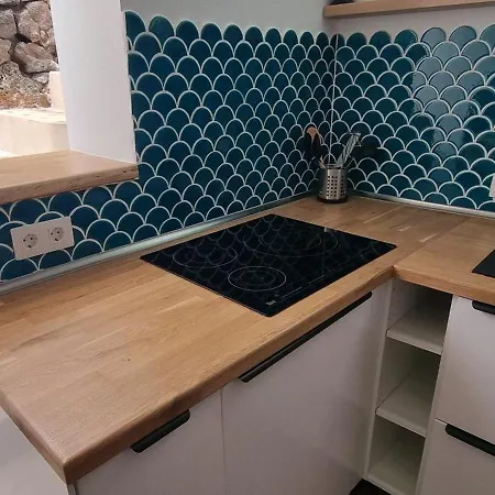 Lagarto Playas Majoreras *